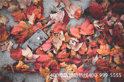 (400开头的电话怎么办理业务)(400开头电话怎么申请)
